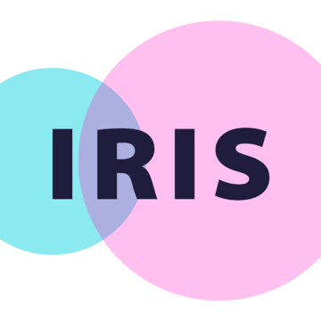 IRIS – Individual Resorbable Intestinal Stents