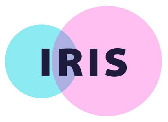 IRIS – Individual Resorbable Intestinal Stents